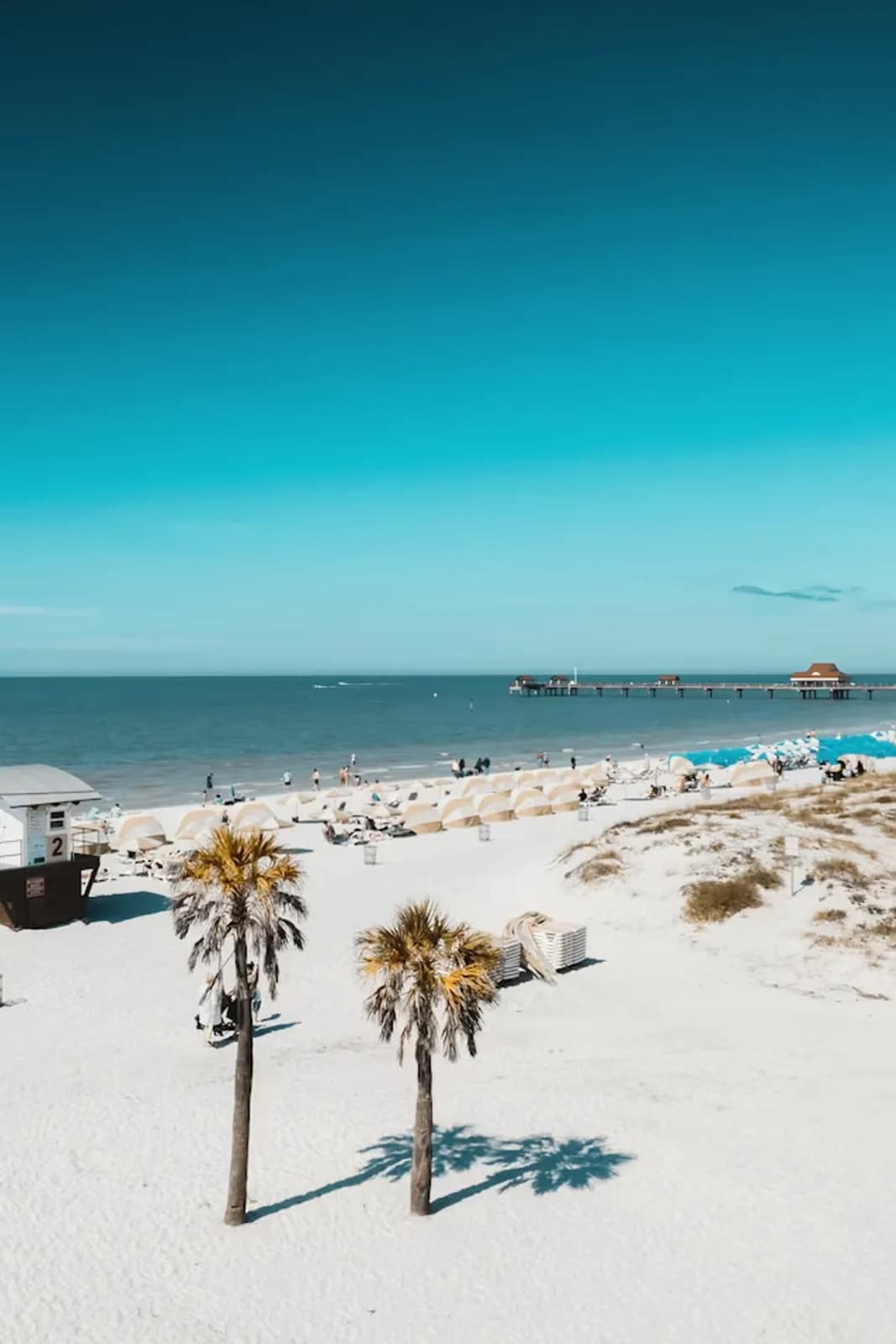 Strand von Tampa Bay