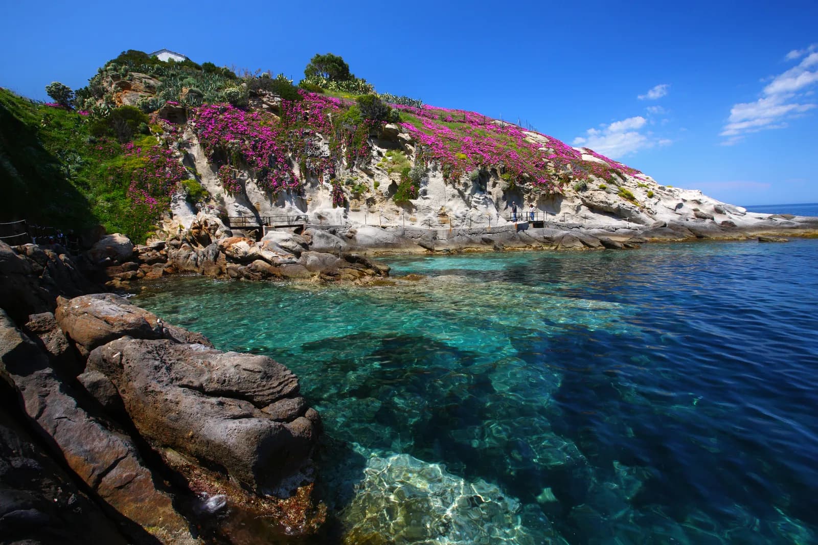 Felsbucht mit blühender Bougainvillea über klarem Wasser