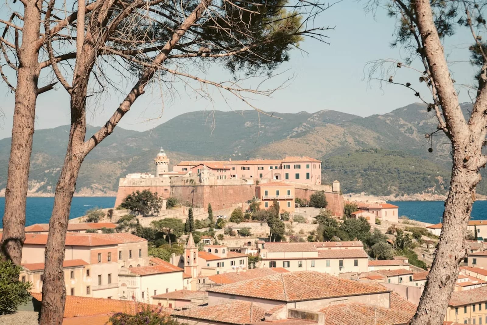 Blick durch Pinien auf die Festung über Portoferraio