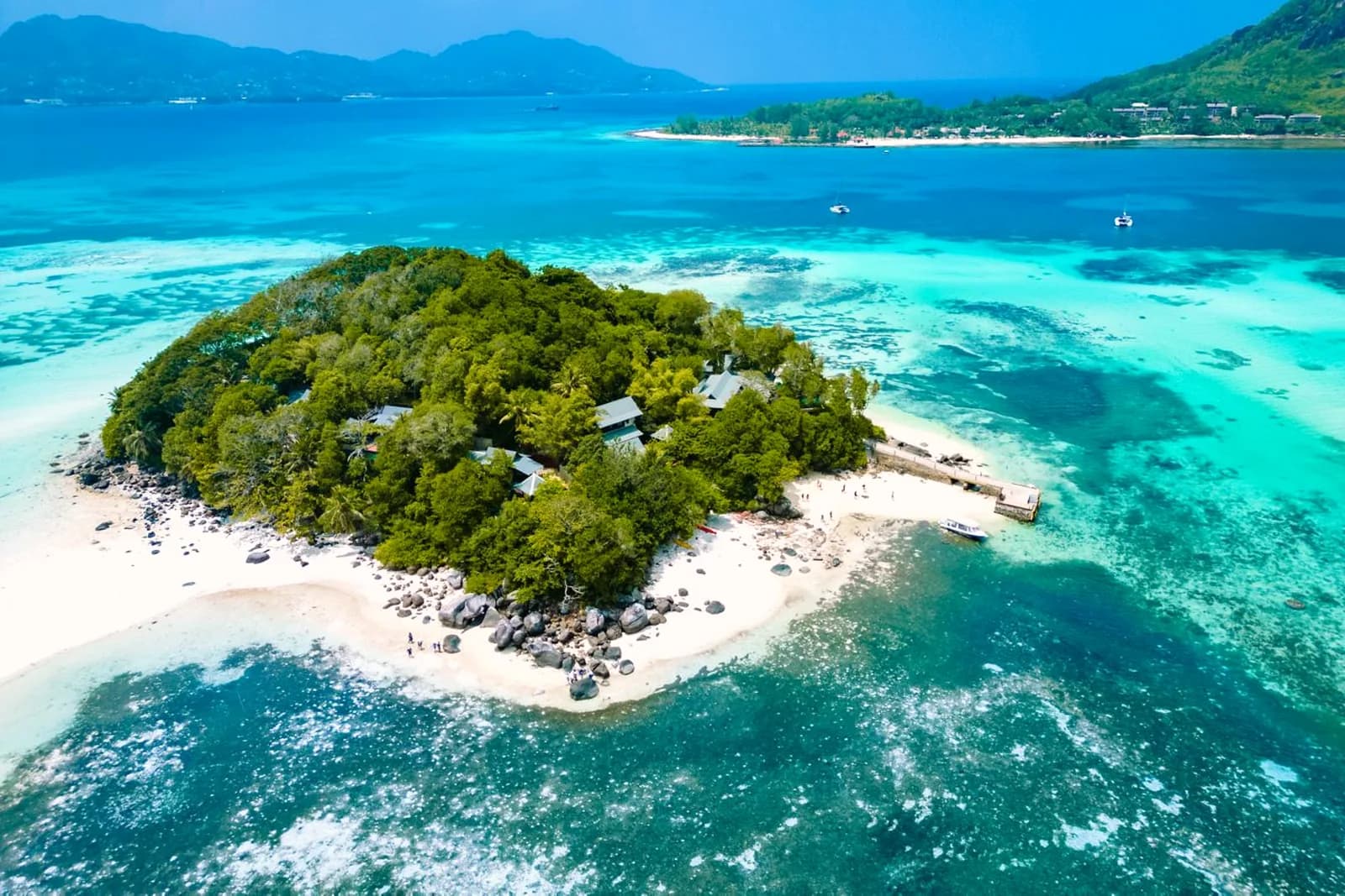 Bucht mit Granitfelsen und Palmen auf den Seychellen