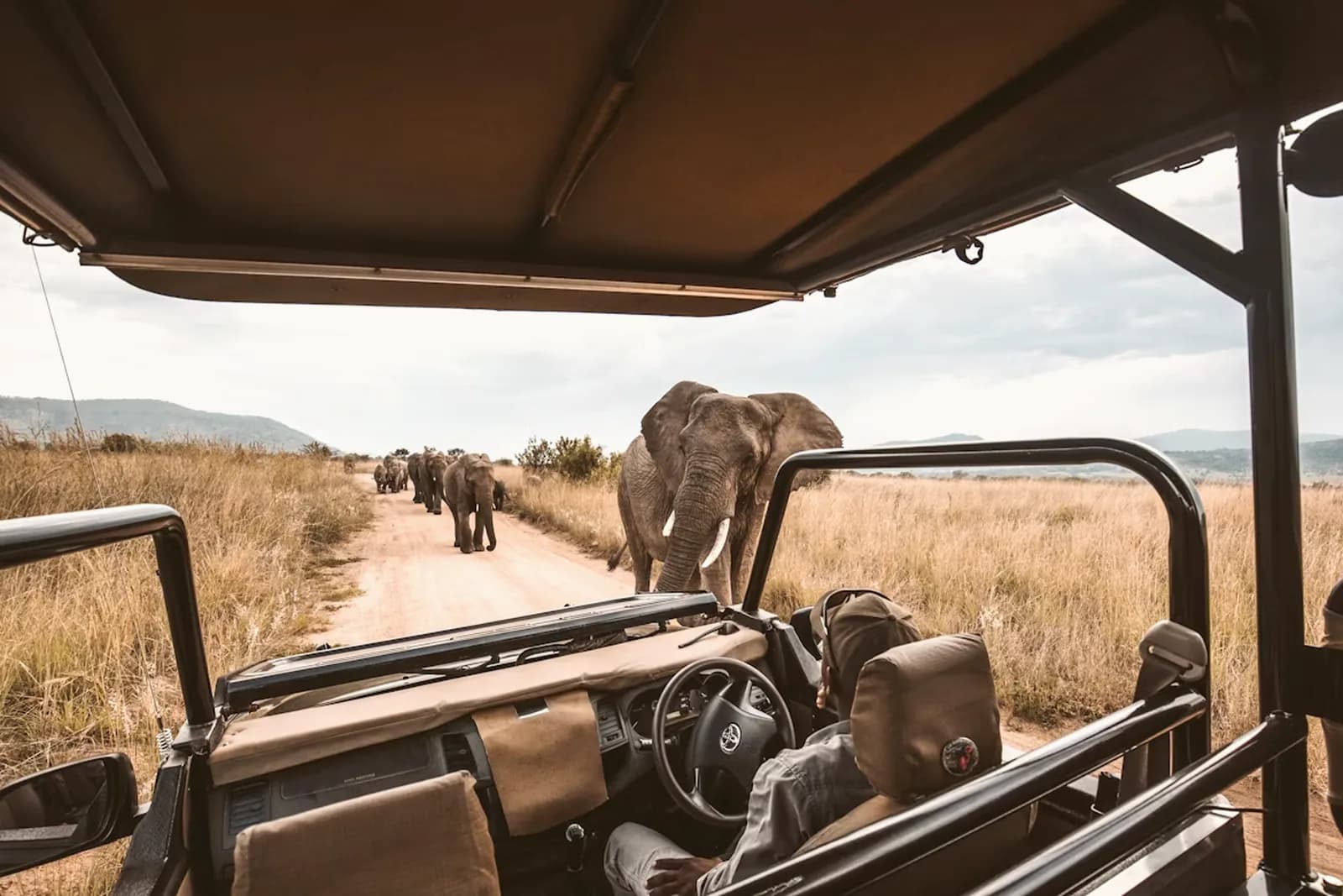 Safari im Etosha-Nationalpark